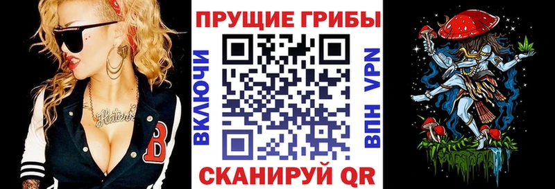 Галлюциногенные грибы ЛСД  omg ONION  Братск 