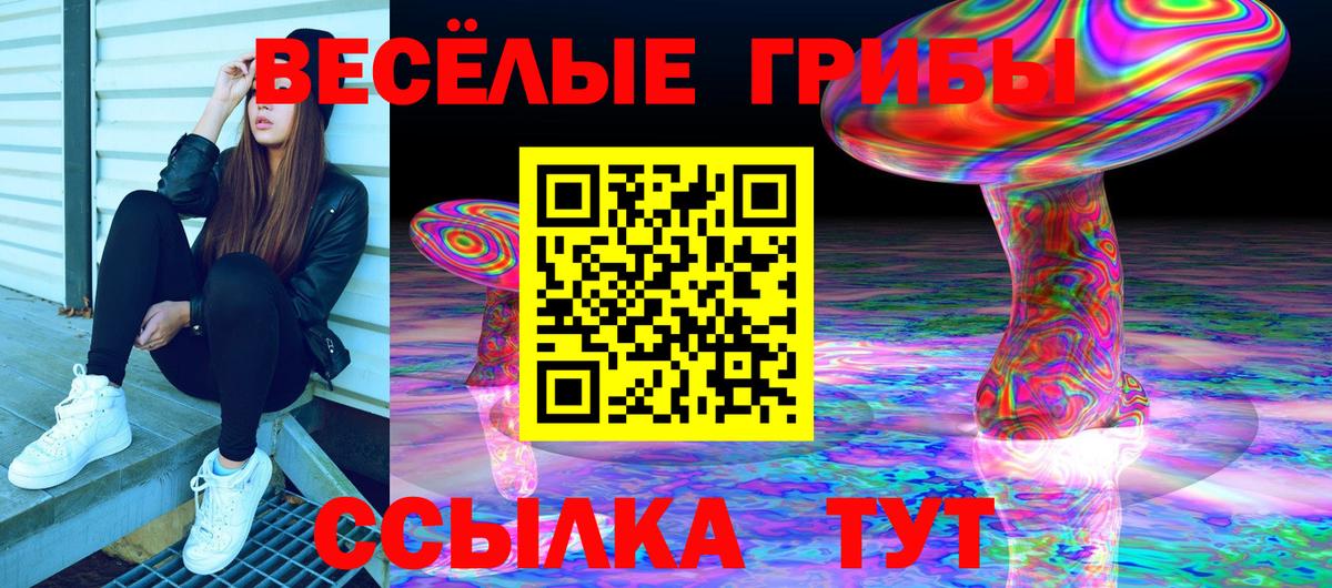 Братск  Галлюциногенные грибы MAGIC MUSHROOMS  Псилоцибиновые грибы Magic Shrooms  Вход с VPN 